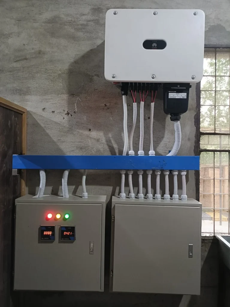 WhatsApp Image 2025 06 24 at 16.27.04 9a881e06