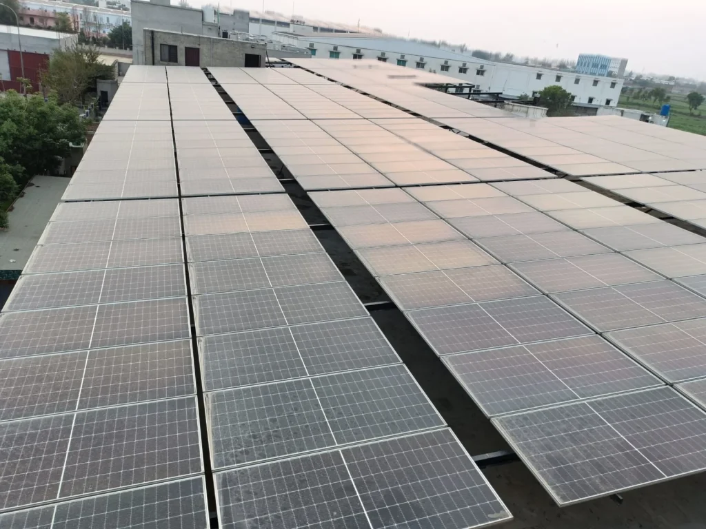 WhatsApp Image 2025 06 24 at 16.28.32 19df8807