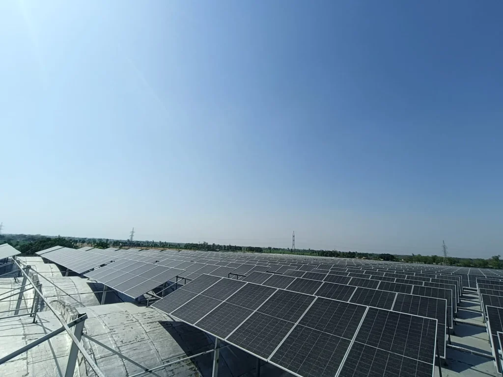 WhatsApp Image 2025 06 24 at 16.57.03 15d42868