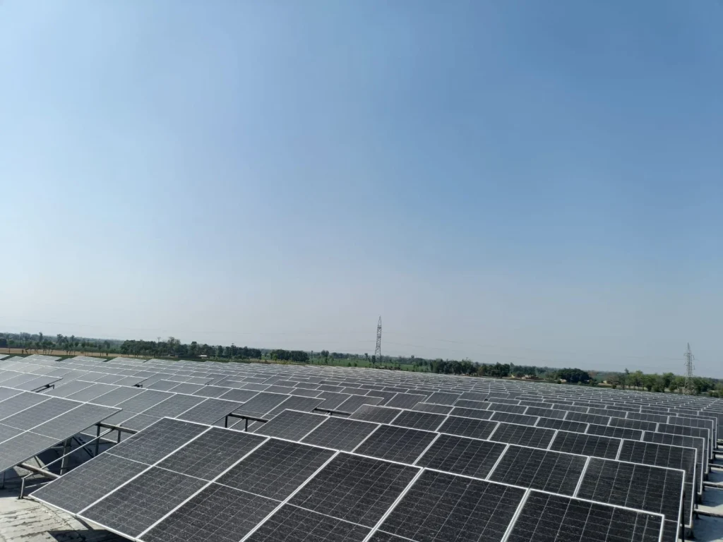 WhatsApp Image 2025 06 24 at 16.57.03 ed2810a2