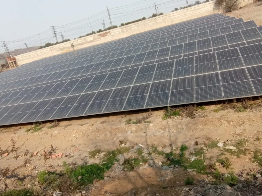 WhatsApp Image 2025 06 24 at 17.03.53 15c2d9ad