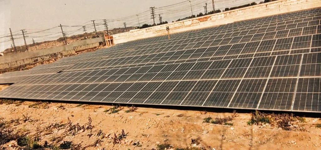 WhatsApp Image 2025 06 24 at 17.03.53 fd4b14d7