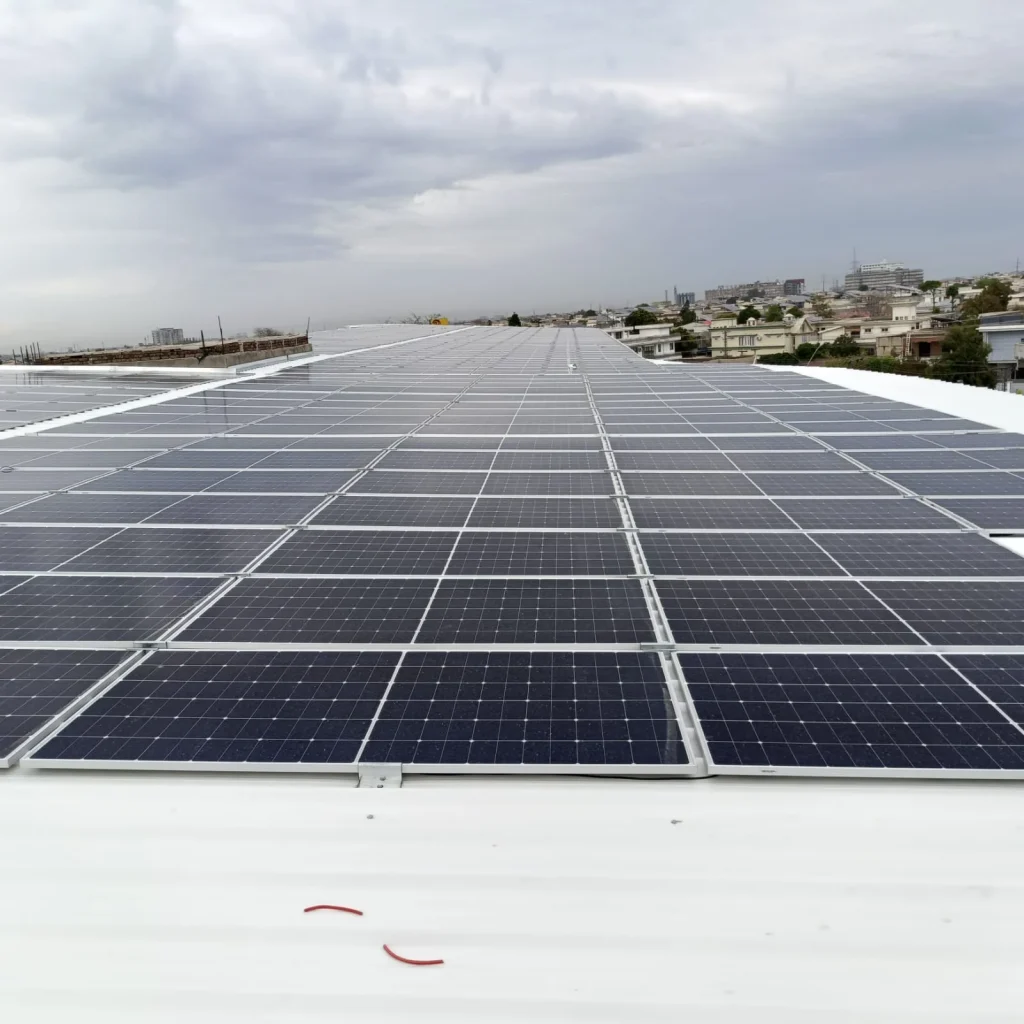 WhatsApp Image 2025 06 24 at 17.06.36 08ef5647