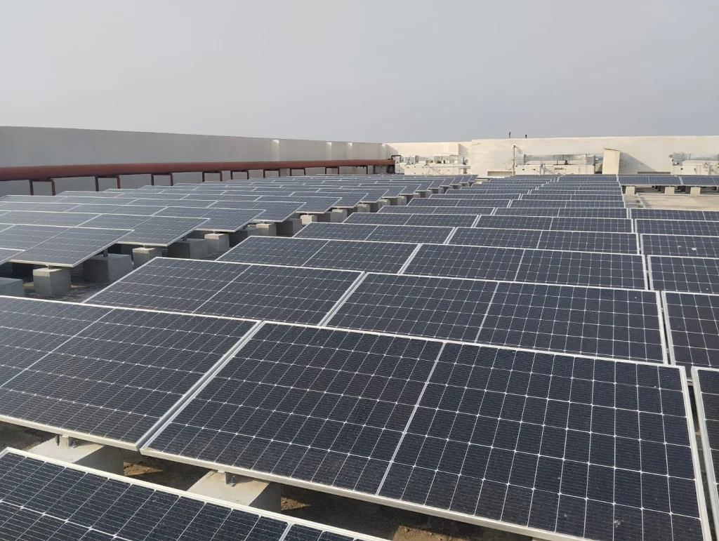 WhatsApp Image 2025 06 24 at 17.24.59 08f7bb59 1