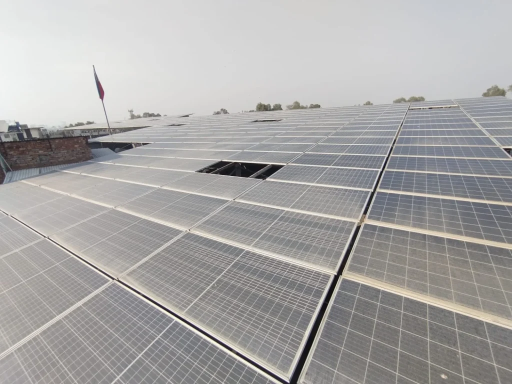 WhatsApp Image 2025 06 24 at 17.33.32 a1060ae3